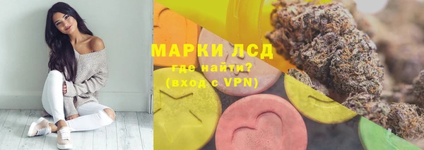 ПСИЛОЦИБИНОВЫЕ ГРИБЫ Инта
